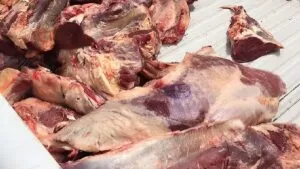 Leia mais sobre o artigo Dono de conveniência é condenado por vender “carne imprópria” em Corumbá