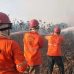 Governo de MS destina R$ 7 milhões para brigadas contra incêndios no Pantanal