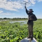 IHP completa 20 anos de luta pela preservação do Pantanal