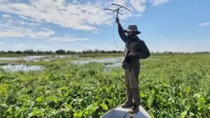 Leia mais sobre o artigo IHP completa 20 anos de luta pela preservação do Pantanal