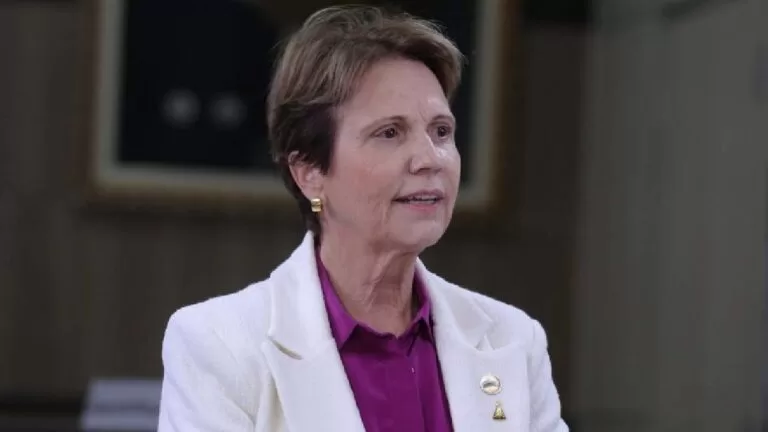 Ministra diz que Brasil tem fertilizantes suficientes até o início da próxima safra