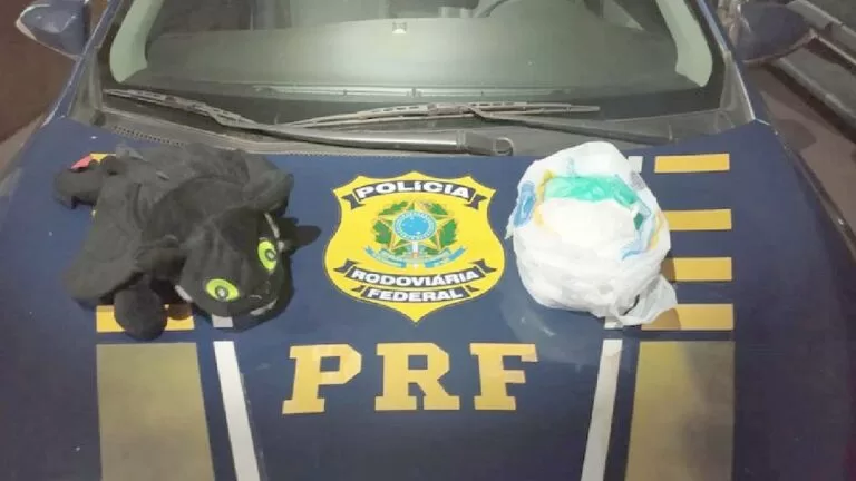 Boliviano é preso pela PRF com cocaína escondida em brinquedo de pelúcia na BR-262