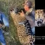 VÍDEO: Homem mata onça no Pantanal, debocha e ainda diz que a ‘encoxaria’ se fosse fêmea