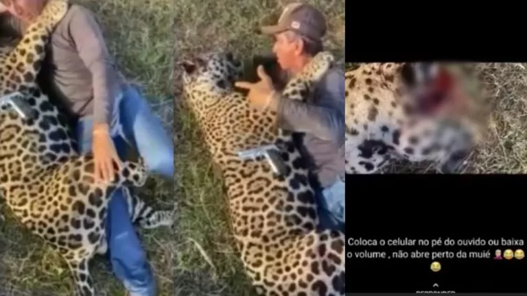 Você está visualizando atualmente VÍDEO: Homem mata onça no Pantanal, debocha e ainda diz que a ‘encoxaria’ se fosse fêmea