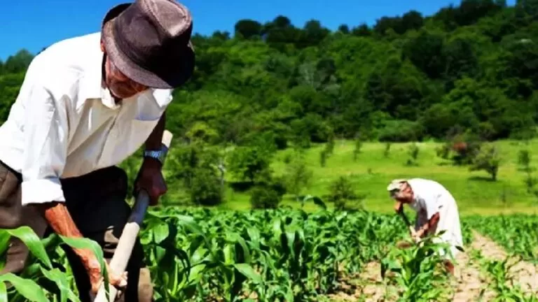 Analfabeto e doente, trabalhador recorre a justiça para conseguir se aposentar em MS