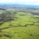 MS contrata temporários para se adequar à Lei do Pantanal