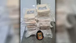 Leia mais sobre o artigo Com droga escondida em sacos de batata, mulher é presa pela PF em Corumbá