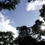 Fim de semana começa com sol e temperaturas amenas em MS