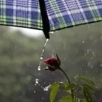 Segunda segue com temperaturas altas e pancadas de chuva em diferentes regiões