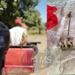 Polícia Civil deflagra operação contra quadrilha que furtou mais de mil cabeças de gado no Pantanal