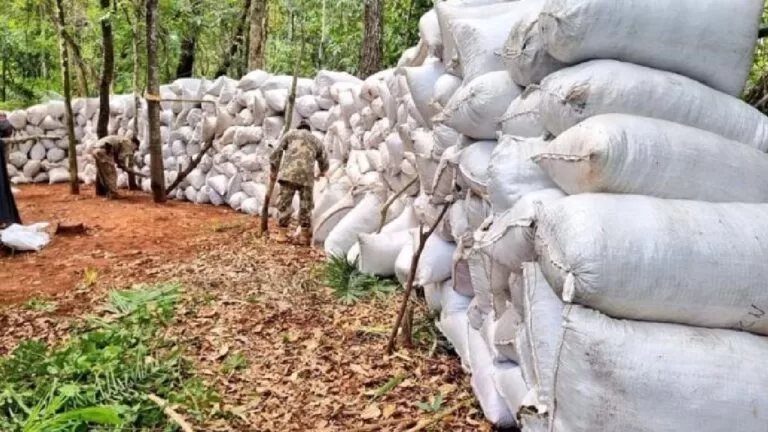 Polícia Paraguaia realiza maior apreensão de maconha da história no país; 50 toneladas