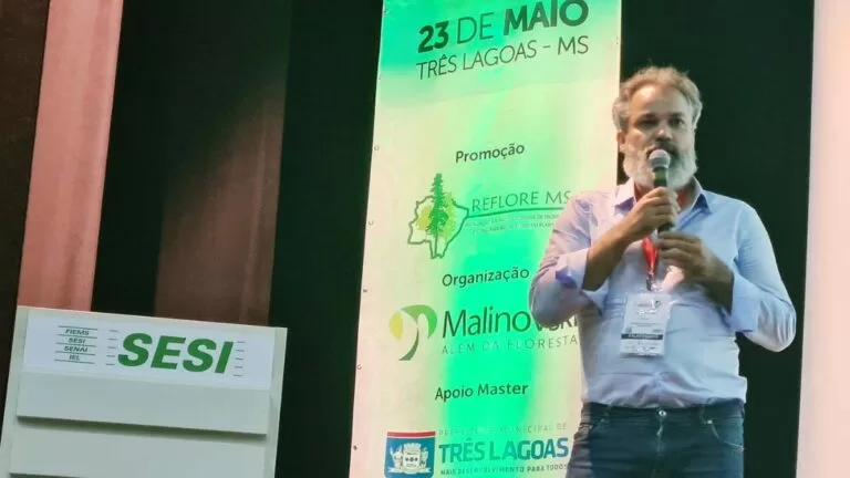 Presidente da Vetorial fala sobre mercado do carvão em Congresso Florestal 