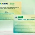 Passe Livre Intermunicipal para idosos e pessoas com deficiência é direito garantido por lei