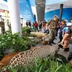 Maior complexo de água doce do mundo, Bioparque Pantanal festeja 1º ano com evento científico