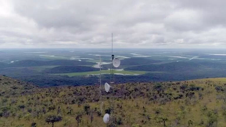 Projeto irá monitorar 2,5 milhões de hectares de área com foco na proteção do Pantanal