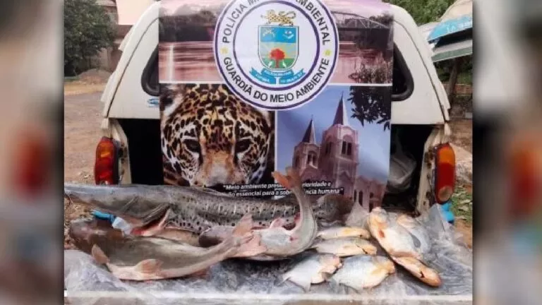 PMA autuou 571 pessoas e aplicou R$ R$ 11,5 milhões em multas no 1ºsemestre de 2022