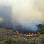 “Queima controlada” está proibida até o final do ano em Mato Grosso do Sul