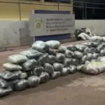 Ao retornar de Corumbá, caminhoneiro é preso transportando 245 Kg de drogas na BR-262