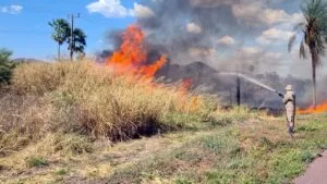 Leia mais sobre o artigo Bombeiros seguem combate ao fogo que avança sobre o Pantanal