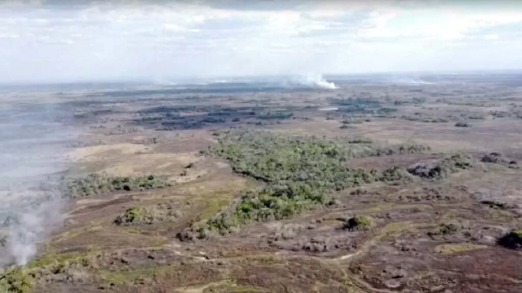 fogo pantanal 20222