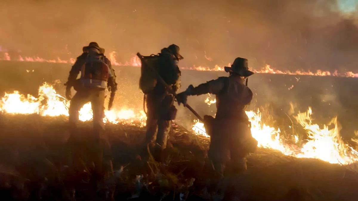 Você está visualizando atualmente Ambientalista e artistas se juntam no combate a incêndios no Pantanal
