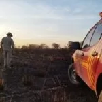 Combate e monitoramento de incêndios prosseguem no Pantanal