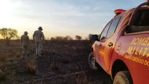 Leia mais sobre o artigo Combate e monitoramento de incêndios prosseguem no Pantanal