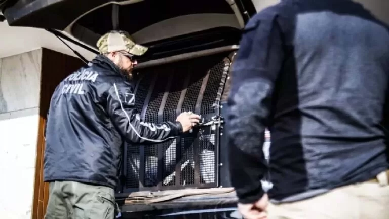 Técnico em eletrônica e vendedor de salgados estão entre presos em operação contra estupro￼