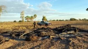 Leia mais sobre o artigo PMA multa proprietário rural que realizou queimada para limpar área no Carandazal