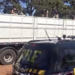 PRF apreende 12 toneladas de maconha escondidas em meio a carga de tijolos em Campo Grande