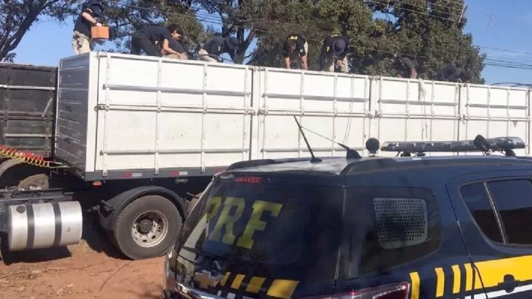 PRF apreende 12 toneladas de maconha escondidas em meio a carga de tijolos em Campo Grande