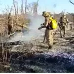 Registro de incêndios no Pantanal em Agosto é o menor das últimas duas décadas