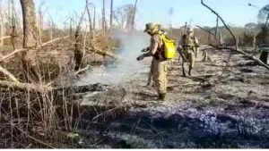 Leia mais sobre o artigo Registro de incêndios no Pantanal em Agosto é o menor das últimas duas décadas