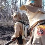 Governo de MS adota estratégia integrada para prevenir incêndios florestais no Pantanal