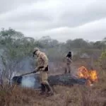 Mês de julho registrou queda de 42% em focos de calor no Pantanal