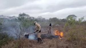 Leia mais sobre o artigo Mês de julho registrou queda de 42% em focos de calor no Pantanal