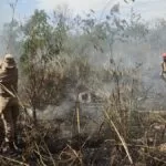 Bombeiros combatem incêndio de grande proporção em terreno na área urbana de Corumbá