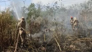 Leia mais sobre o artigo Bombeiros combatem incêndio de grande proporção em terreno na área urbana de Corumbá