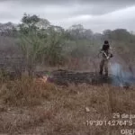 Bombeiros controlam focos de incêndios na Serra do Amolar