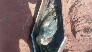 Leia mais sobre o artigo Após denúncia, polícia encontra porco sem cabeça dentro de caixão de criança em Campo Grande