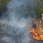 Bombeiros registram novo foco de incêndio na região de Porto Esperança