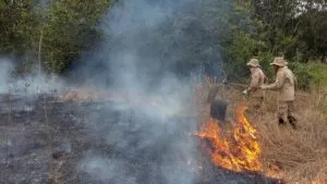 Leia mais sobre o artigo Bombeiros registram novo foco de incêndio na região de Porto Esperança