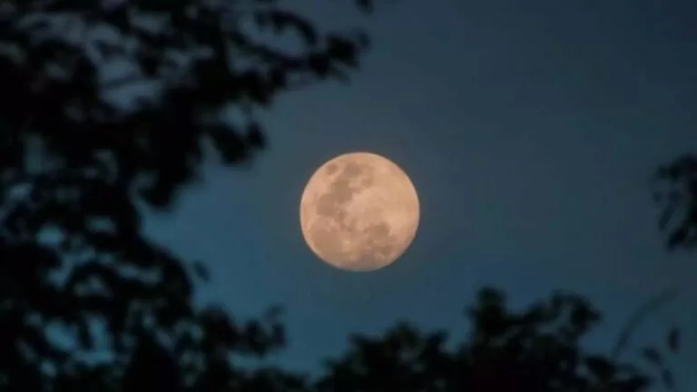 Última Superlua do ano poderá ser vista em MS nesta quinta-feira; saiba como observar