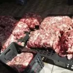 Vídeo| Carne apreendida em empresa da Capital tinha até larvas e seria distribuída em escolas