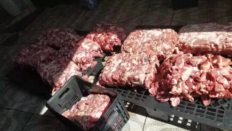 Vídeo| Carne apreendida em empresa da Capital tinha até larvas e seria distribuída em escolas