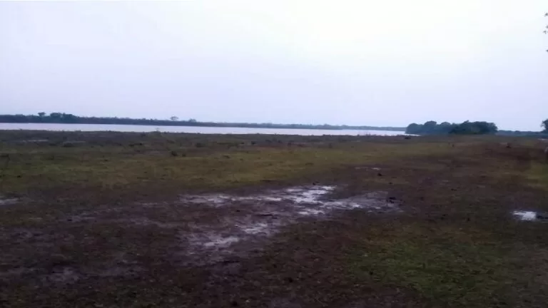 Chegada da chuva extingue focos de incêndios que atingiam regiões no Pantanal