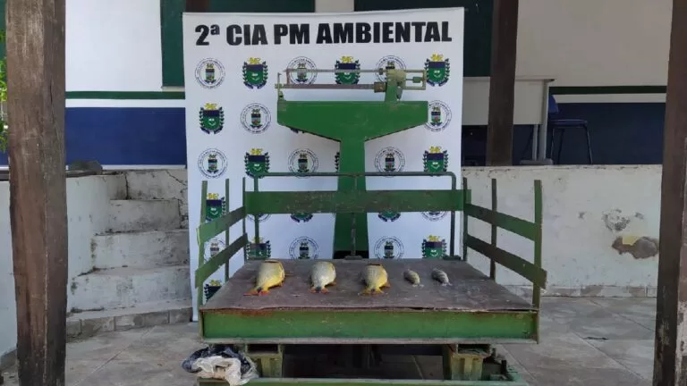 Homem é detido e multado pela PMA ao ser flagrado com exemplares de Dourado em Corumbá