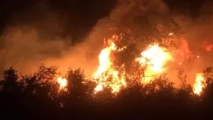 Leia mais sobre o artigo Bombeiros e brigadistas do IHP combatem focos de incêndios na Serra do Amolar