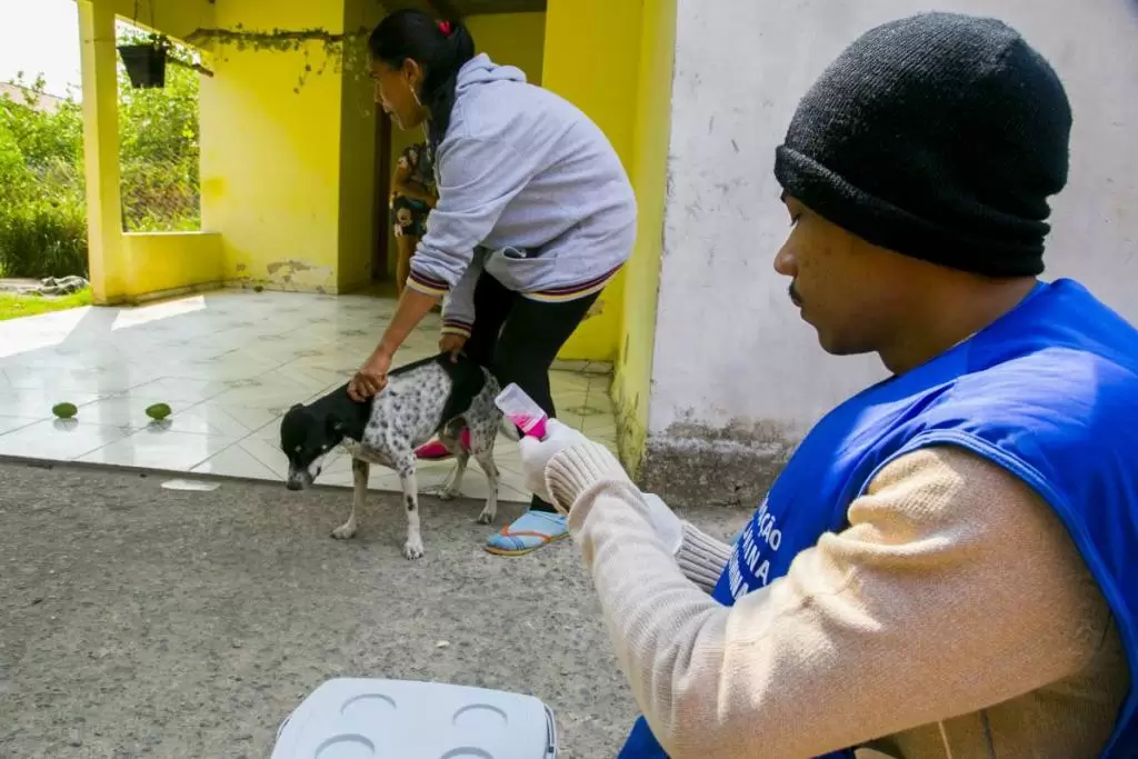 Você está visualizando atualmente Campanha de vacinação antirrábica de cães e gatos segue até sexta-feira