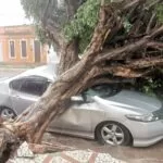 Vendaval deixa rastro de destruição em Corumbá